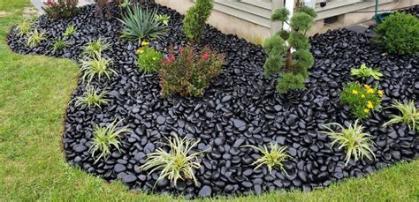 Polished Black Beach Pebbles River Rock Landscaping Fast Shipping
