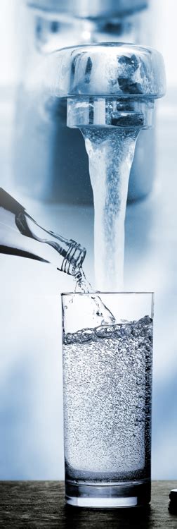Mineralwasser oder Leitungswasser Wie trinkt man gesünder Trotec Blog