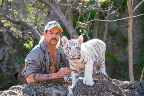 The flamboyant animal enthusiast was the owner of. Here's why Joe Exotic the 'Tiger King' was big cats ...