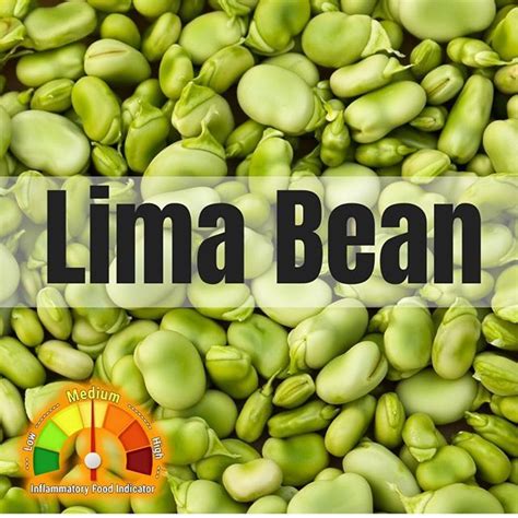 Delicious And Nutritious Lima Beans A Vegetarians Delight