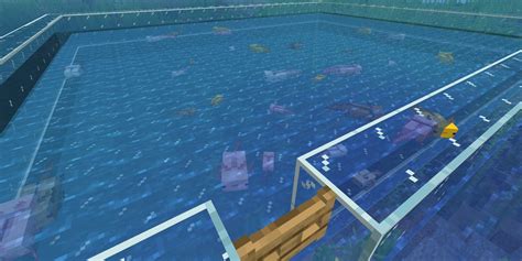 Minecraft Where To Get A Blue Axolotl