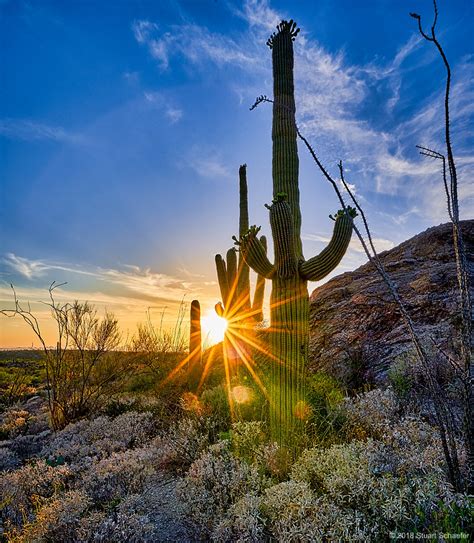 Saguaro Sunset Sunset At The Saguaro National Park Located Flickr