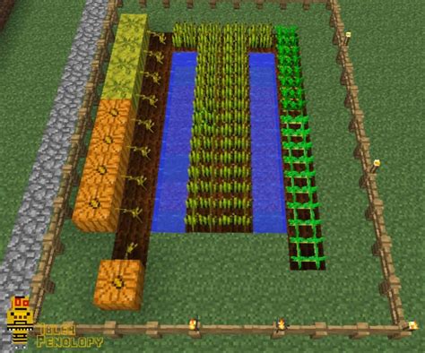 Farming In Minecraft 10 Steps With Pictures Instructables