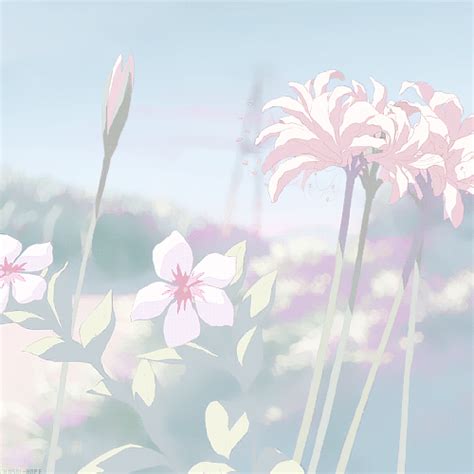 Pin By 𝗃𝗈𝗋𝖽𝖺𝗇 On Anime Anime Flower Anime Scenery Anime Aesthetic