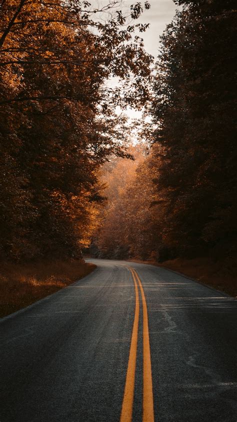 Free Download 1440x2560 Fall Road Highway Wallpaper Nature Photography