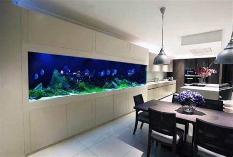 How To Make Wall Aquarium And Wall Fish Tank Diy