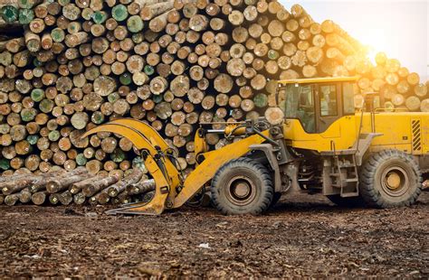 The Role Of Financing In The Forestry And Logging Industry Global
