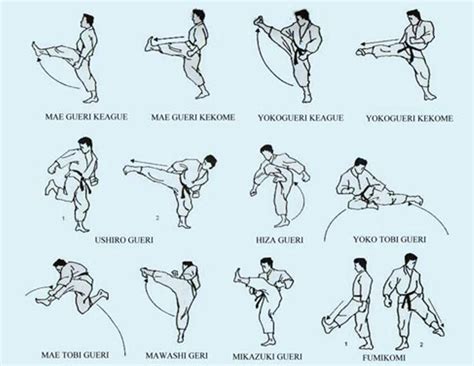 Shotokan Armas Bases E Defesas Do KaratÊ Técnicas De Artes