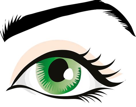 Eye Green Eyes Eyelid · Free Vector Graphic On Pixabay