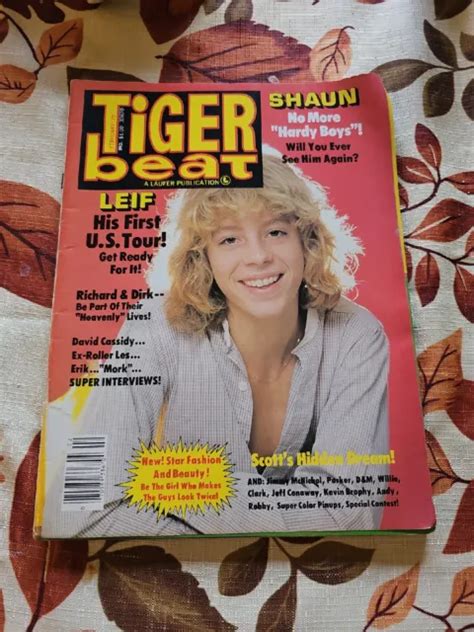 Vtg Tiger Beat Teen Magazine Feb 1979 Leif Garrettshaun Cassidy Etc