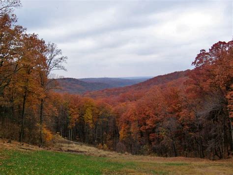 Vista With Fall Colors Brown County State Park Indiana A Photo On