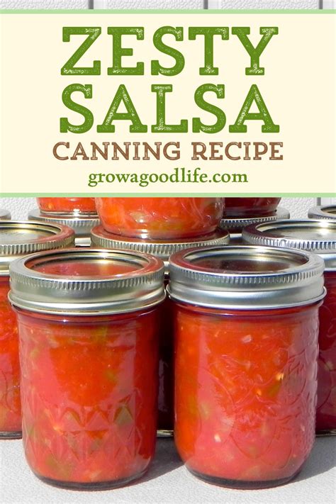 Zesty Salsa Recipe For Canning