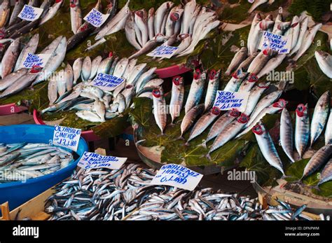 Turkey Istanbul Selling Fish In Karaköy Market Stock Photo Alamy