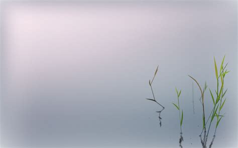 Minimalist Zen Wallpapers Top Free Minimalist Zen Backgrounds