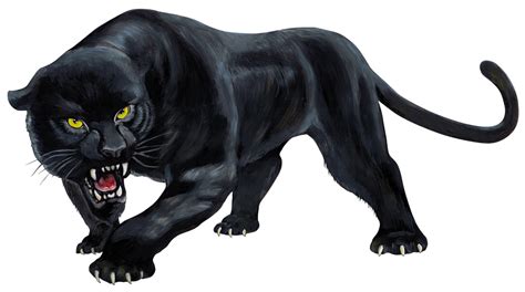 Рисунок черной пантеры 31 фото