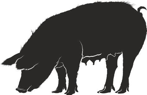 Free Clipart Of A Hog