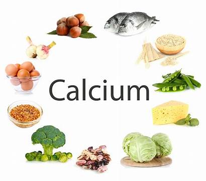 Calcium Foods Contain Loss Fat Canxi Con