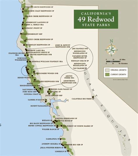 Redwood Forest California Map Printable Maps