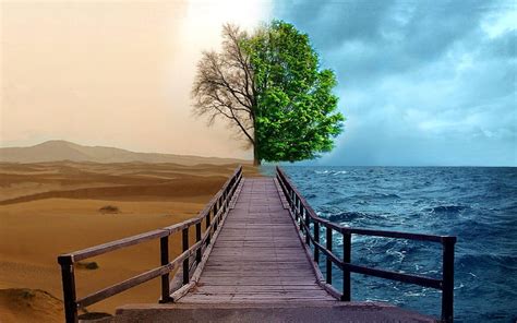 海の風景木砂漠の道橋海の風景photomanipulations 1680x1050自然の海hdアート、 海、 風景、 Hdデスクトップの壁紙