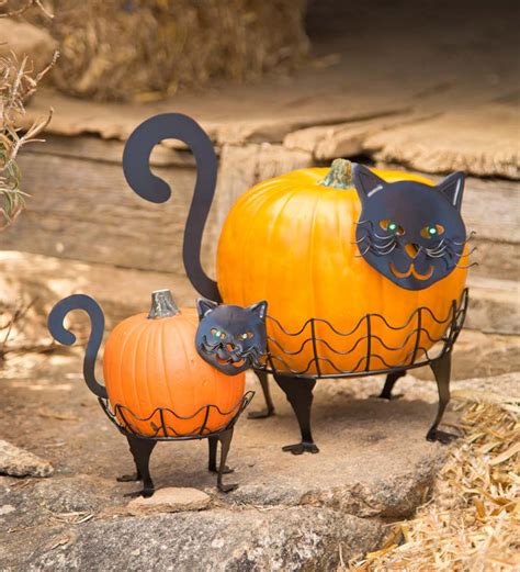 Set Of 2 Cat Pumpkin Holders With Led Eyes Cat Pumpkin Pumpkin