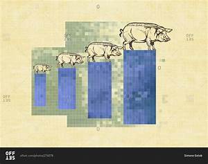 Pigs On A Growth Chart Stock Photo Offset