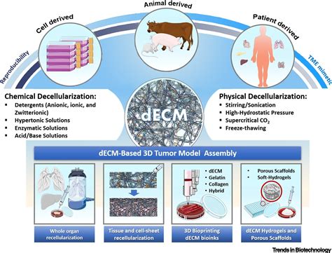 Decellularized Extracellular Matrix For Bioengineering Physiomimetic D
