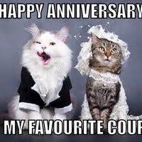 My boss did this for my grumpy cat plushie on thursday. 16 Best Work Anniversary images | Funny images, Work ...