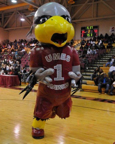 Maryland Eastern Shore Hawks Mascot Sports Advertising University Of