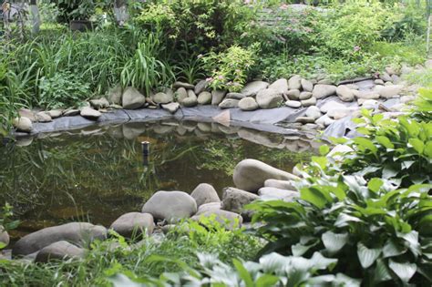 60 Backyard Pond Ideas Photos