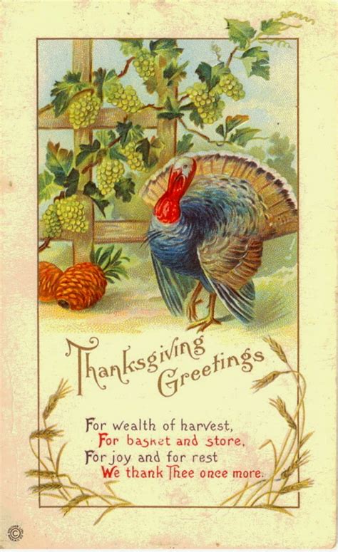 25 Colorful Vintage Thanksgiving Turkey Postcards ~ Vintage Everyday