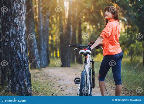 Cyclist Cycling Mountain Bike On Pine Forest Trail Stock Photo Image Of Nature Bicycle