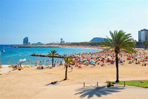 Las 10 Mejores Playas De Barcelona ¿cuáles Son Las Playas Más Populares De Barcelona Go Guides