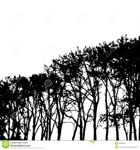 Vector Black And White High Trees Silhouettes Design Element Stock