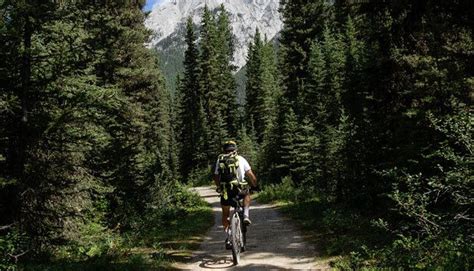 Mountain Biking In Banff Alberta Banff National Park