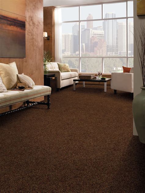 30 Tan Carpet Living Room Ideas