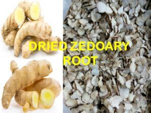 Dried Zedoary Root Agro Raya