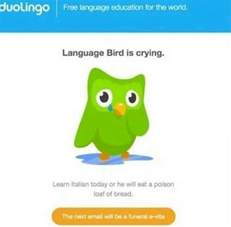 Language Bird Is Crying Rduolingo