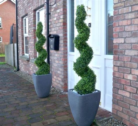 All we need is some magic. Front Door Double Spiral Topiaries Double Spiral Topiary ...