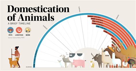 Timeline The Domestication Of Animals