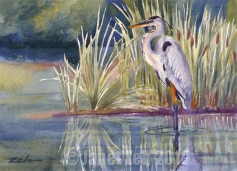 Zeh Original Art Blog Watercolor And Oil Paintings Great Blue Heron