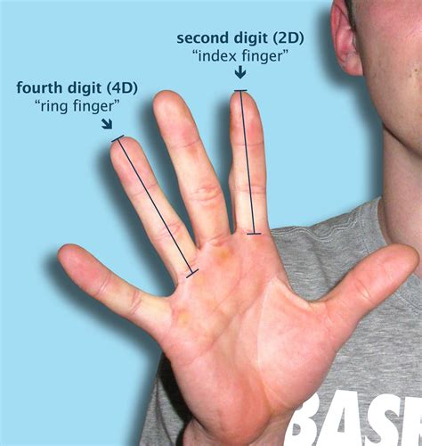 Finger Size Does Matter In Sports