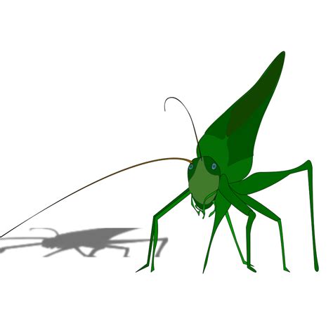 Cartoon Grasshopper With Shadow Png Svg Clip Art For Web Download