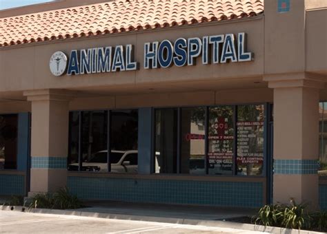 We also offer pet boarding and. Animal Hospital of Fountain Valley - Veterinarian ...
