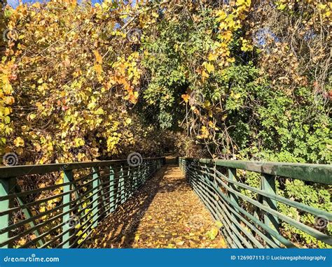 Sacred Places Enchanted Bridge During Autumn Stock Image Image Of