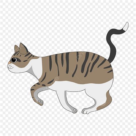 Gambar Clipart Kucing Kucing Kartun Yang Dilukis Dengan Tangan