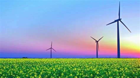 Telangana Has 4k Mw Wind Energy