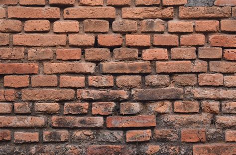 Brick Wall Old Free Photo On Pixabay Pixabay