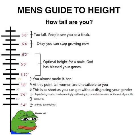 Mens Guide To Height Album On Imgur Best Funny Pictures Best