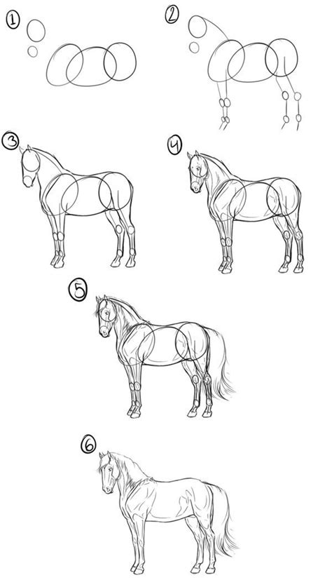 Https://techalive.net/draw/step By Step How To Draw A Horse
