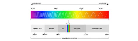 The Ultimate Guide To Spectrum Science In Led Grow Lights